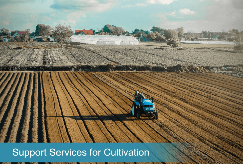 Support Services For Cultivation