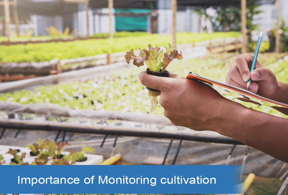 Importance of Monitoring cultivation